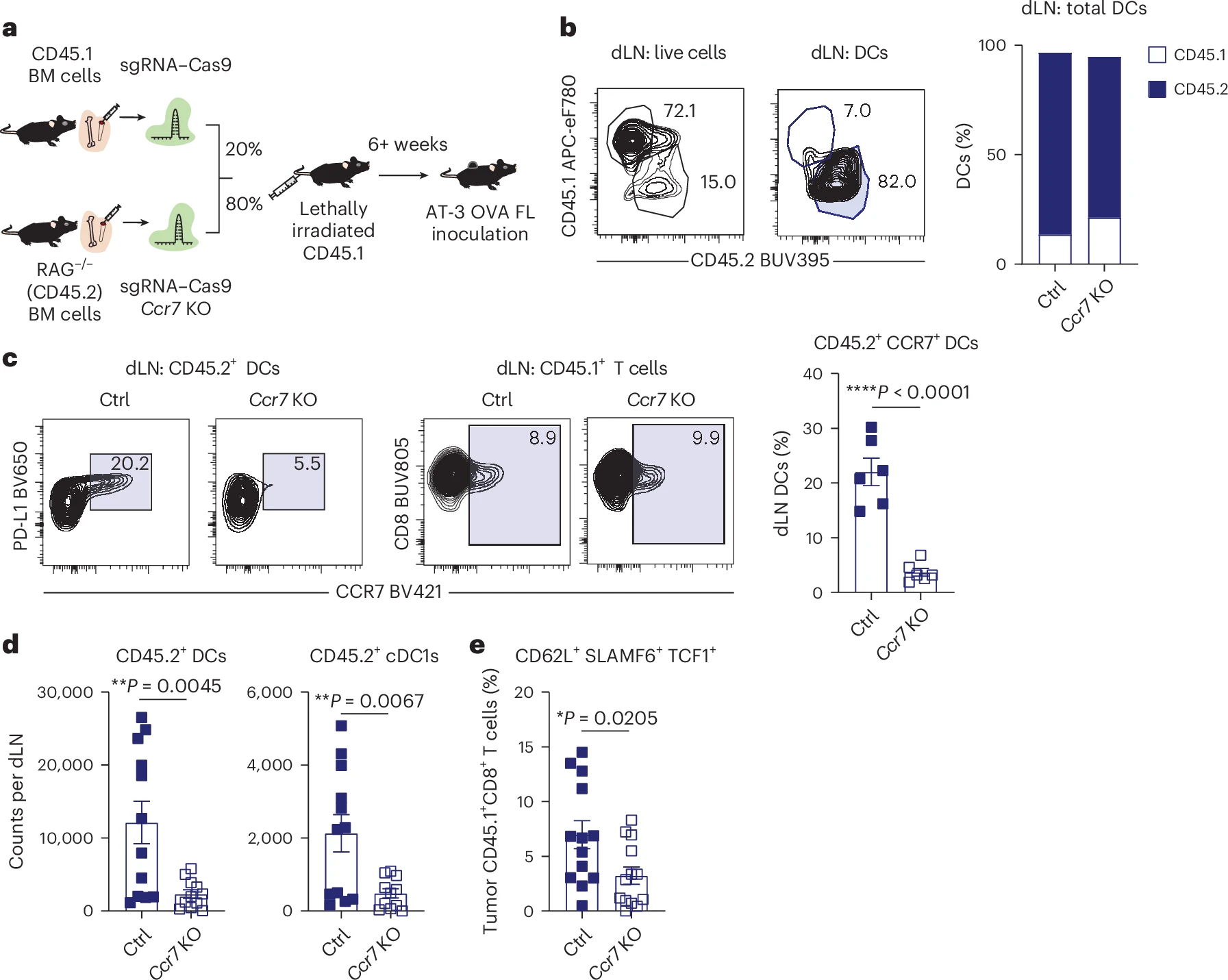 Fig. 5: Flt3L-mediated expansion of stem-like CD8+ T cells is dependent on CCR7+ DCs. Fig. 5: Flt3L-mediated expansion of stem-like CD8+ T cells is dependent on CCR7+ DCs.