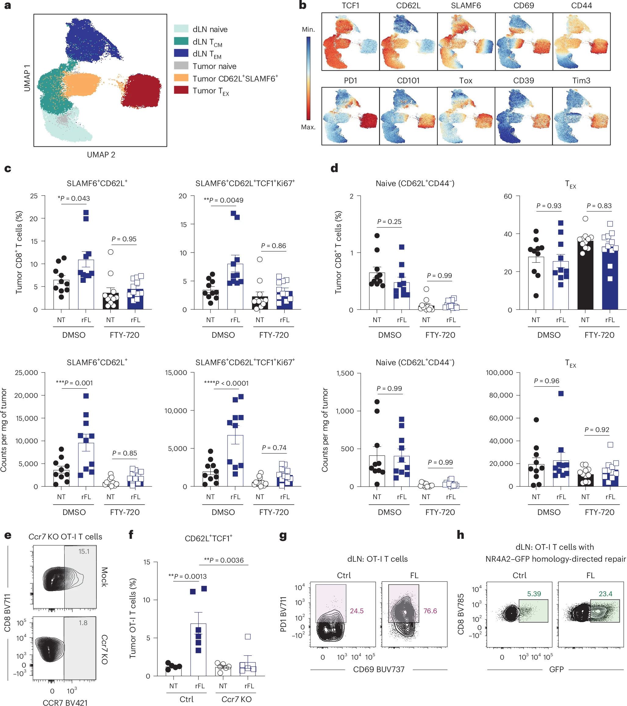 Fig. 4: Flt3L-mediated expansion of stem-like CD8+ T cells is dependent on lymph node egress. Fig. 4: Flt3L-mediated expansion of stem-like CD8+ T cells is dependent on lymph node egress.