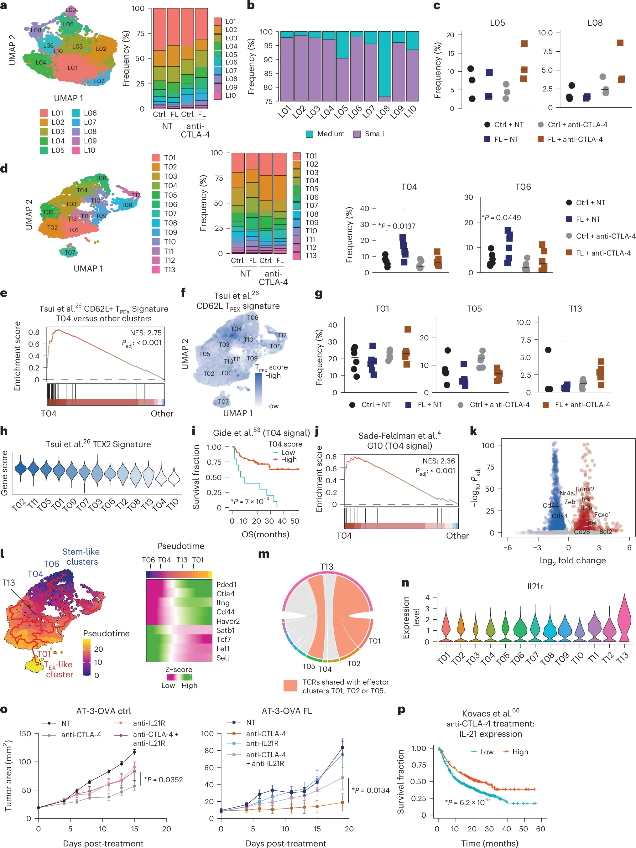 Fig. 7: Transcriptional and clonal analysis of CD8+ T cells from tumors Fig. 7: Transcriptional and clonal analysis of CD8+ T cells from tumors and dLNs.and dLNs. Fig. 7: Transcriptional and clonal analysis of CD8+ T cells from tumors Fig. 7: Transcriptional and clonal analysis of CD8+ T cells from tumors and dLNs.and dLNs.