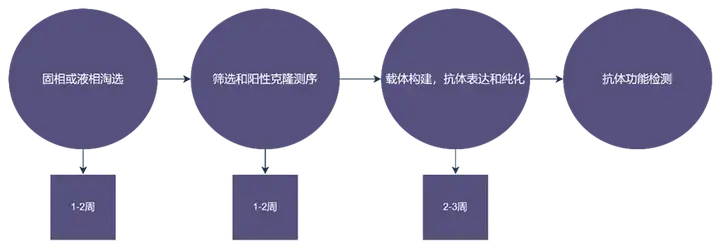 服务流程