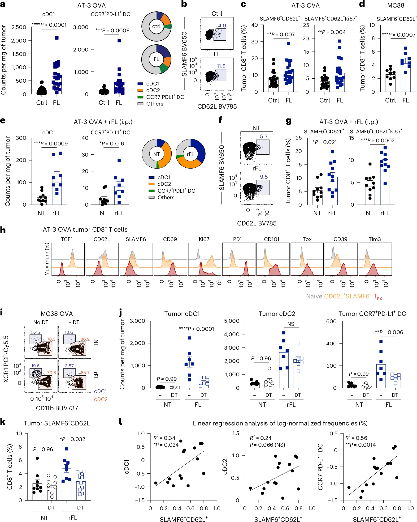 Fig. 2: The stem-like CD8+ T cell population is dependent on XCR1+ DCs. Fig. 2: The stem-like CD8+ T cell population is dependent on XCR1+ DCs.